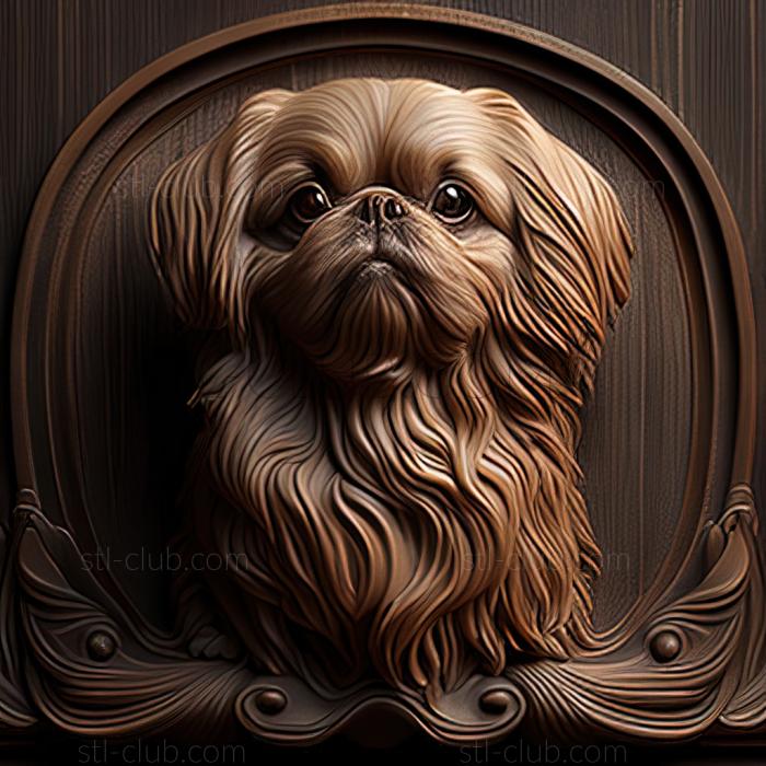 st Pekingese dog